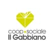 Logo Il Gabbiano Società Cooperativa Sociale Agricola