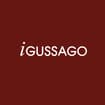Logo Igussago Srl