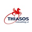 Logo Thiasos Consulting Srl