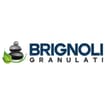Logo Dante Brignoli - Granulati Srl
