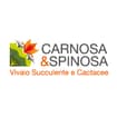 Logo Carnosa E Spinosa Società Agricola Di Careddu E C. S.s.