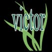 Logo Victor Aree Verdi Di Victor Ulinici
