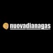 Logo Nuova Diana Gas Srl