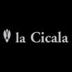 Logo La Cicala S.n.c. -Libreria Specializzata Per Ragazzi E Insegnanti Di Ballocco Maria E Mondello Antonietta