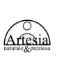 Logo Artesia Srl