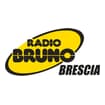 Logo Croce Rossa Italiana - Comitato Di Brescia - Organizzazione Di Volontariato