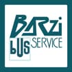 Logo Barzi Service Srl