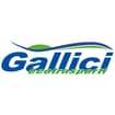 Logo Gallici Srl