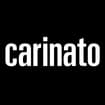 Logo Carinato Srl