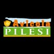 Logo "Avicola Pilesi S.n.c. Dei F.lli Pilesi"