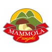 Logo Mammola Funghi Di Bruno Romeo