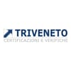 Logo Triveneto Srl