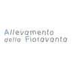 Logo Allevamento Della Fioravanta Soc. A R.l.