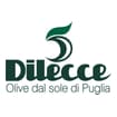 Logo Di Lecce Nicola Srl