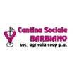 Logo Cantina Sociale Cooperativa Barbiano Società Agricola Cooperativ A Per Azioni Brevemente "C.s.b. Società Agricola Cooperativa P.a."