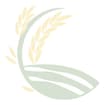 Logo Pasolini Sergio Srl