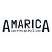 Logo Amarica Srl