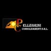Logo Pellegrini Consolidamenti Srl