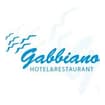 Logo Gabbiano Srl