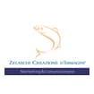 Logo Zelaschi Creazione D'immagini Srl