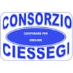 Logo Consorzio Ciessegi