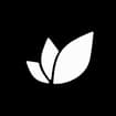 Logo Seed Media Agency Srl Semplificata