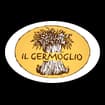 Logo Il Germoglio Food Srl