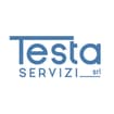 Logo Testa Servizi Srl