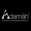 Logo Adama'h Srl