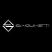 Logo Autoservizi Sanguinetti Srl