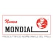 Logo Nuova Mondial Srl