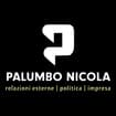 Logo Palumbo Consulting Srl