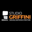 Logo Studio Griffini Srl