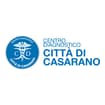 Logo Centro Diagnostico Citta' Di Casarano Srl
