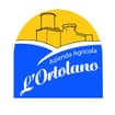 Logo Di Vito Davide