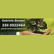 Logo Borsari Gabriele