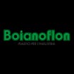 Logo Boianoflon Srl