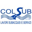 Logo Colsub Società Cooperativa