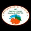 Logo Consorzio Di Tutela Igp Clementine Del Golfo Di Taranto