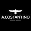 Logo A. Costantino & C. - Società Per L'industria Di Prodotti Biochimici Per Azioni
