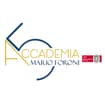 Logo Passion Srl Semplificata In Liquidazione