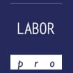 Logo Labor Pro Srl