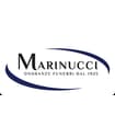 Logo Marinucci Vincenzo