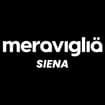 Logo In Your Mind International Srl