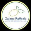 Logo Galano Raffaele