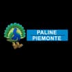 Logo Davide Eugenio Zappala'