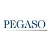 Logo Pegaso Srl