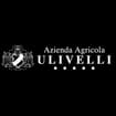 Logo Perna Nicasio