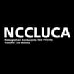 Logo Pacchin Luca