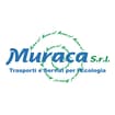 Logo Muraca Srl